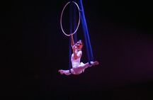 Private Tour: Shanghai Acrobatic Show and Authentic Dim Sum