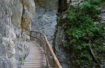 From Bled: Discovery Trail