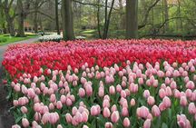 Private Day Trip to Keukenhof Gardens with Entrance Tickets