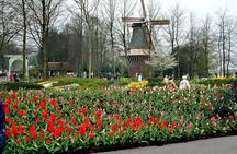 Private Day Trip to Keukenhof Gardens with Entrance Tickets