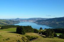 Otago Peninsula Scenery and Dunedin City Highlights Tour