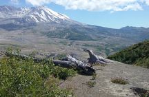 Mt St Helens Full Day Trip
