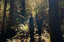 Mystical Rainforest Tour - Forest Magick