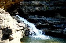 Panna Tiger Reserve Tour from Khajuraho