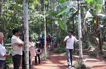 Old Goa Churches, Temples & Spice Plantation With "Goan" Lunch