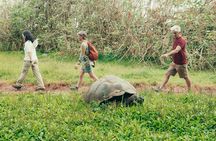 7-Day The Best of Galapagos Adventure