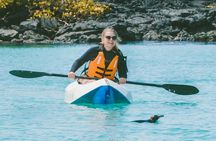 7-Day The Best of Galapagos Adventure