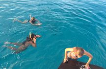 Private 1/2 Day Morning Charter Snorkel or Cruise on Shady Grady