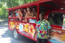 Private Four Hour Historic/Beach Tour with Star Fish Tours & Taxi