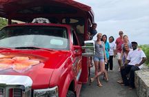 Private Four Hour Historic/Beach Tour with Star Fish Tours & Taxi