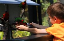 Kids Park Ranger for a Day