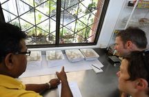 Behind The Scenes Guided Tour