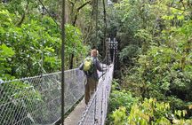 La Fortuna Waterfall, Hanging Bridges, Arenal Volcano Combo Tour