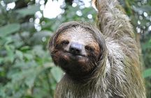 La Fortuna Wildlife Safari Float Tour