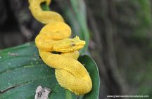 La Fortuna Wildlife Safari Float Tour