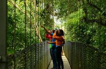 Mistico Hanging Bridges Park from La Fortuna