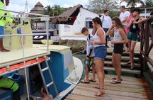 VIP Private Glass Bottom Boat and Snorkeling, 3 Reefs in Cozumel