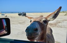 Private Jeep Tour Cabo Pulmo 