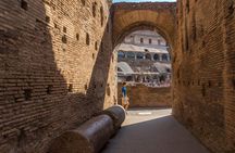 Colosseum Arena Floor Roman Forum and Palatine Hill Live Guide