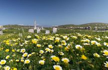 Half-Day Delos Tour from Mykonos