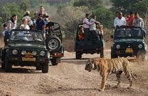 Private 2 Nights Short Escape To Ranthambore.