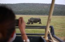 1-Day Lake Nakuru Tour