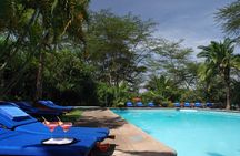 1-Day Lake Nakuru Tour