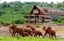 Overnight Safari To Aberdare National Park From Nairobi