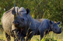 Overnight Safari To Aberdare National Park From Nairobi