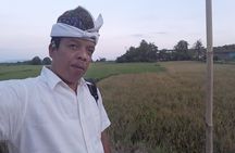 Tanah Lot Temple & Sunset Tour 