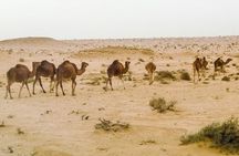 4 Days Tunisia Discovery Private Tour