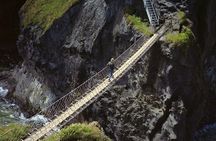 Giant's Causeway Full Day Tour from Belfast