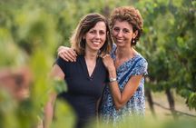 Pic nic Deluxe Assisi for 2 and wine tasting 5 wines