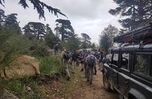From Chefchaouen: Full day trip to the god's bridge and the waterfalls