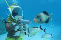 Aquablue Moorea