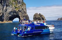 The Bay of Islands Luxury Day Tour From Auckland