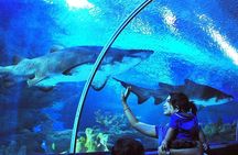 Aquaria KLCC Admission with Kuala Lumpur City Famous Landmarks