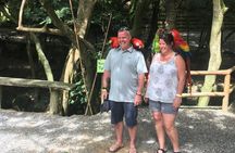  Roatan Gumbalimba Preservation Eco-Park & Beach