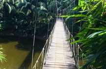  Roatan Gumbalimba Preservation Eco-Park & Beach
