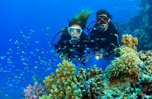 Tulamben Diving USS Liberty Shipwreck Scuba Dive