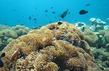 Tulamben Diving USS Liberty Shipwreck Scuba Dive