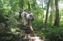 From Hanoi: Cuc Phuong National Park Day Trip by Private Car