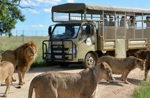 Cradle of Human Kind & Lion & Rhino Park Tour Full day Tour Private 