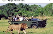 Kruger National Park 2 Days 1 Night Magical Safari from Johannesburg Private 