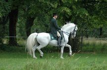 Lipica Stud Farm- Private Experience from Koper