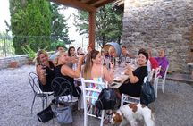 From Florence: Classic Chianti Villages and Wine Roads by Minivan