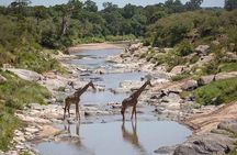 3 Days Masai Mara Private Safari at Sopa Lodge from Nairobi