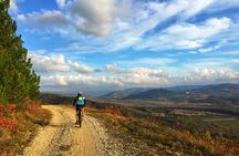 E-bike Tour: Istrian Countryside & Parenzana