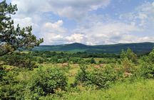 E-bike Tour: Istrian Countryside & Parenzana