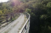 E-bike Tour: Istrian Countryside & Parenzana